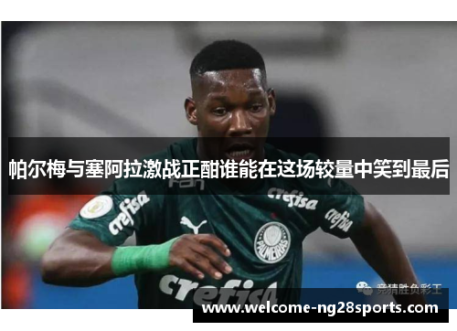 帕尔梅与塞阿拉激战正酣谁能在这场较量中笑到最后